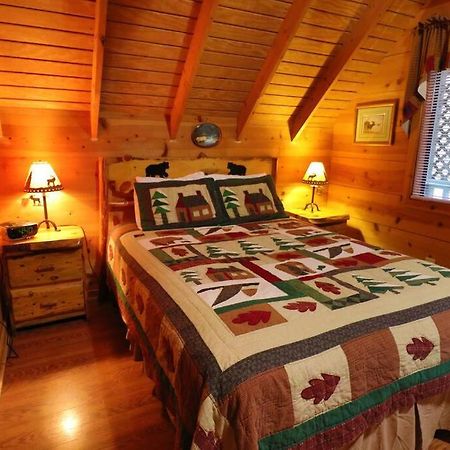 Cute Updated Mountain Cabin Fireplace #3 Helen Eksteriør bilde