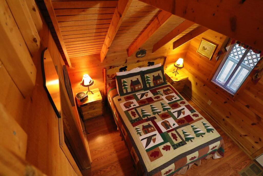 Cute Updated Mountain Cabin Fireplace #3 Helen Eksteriør bilde